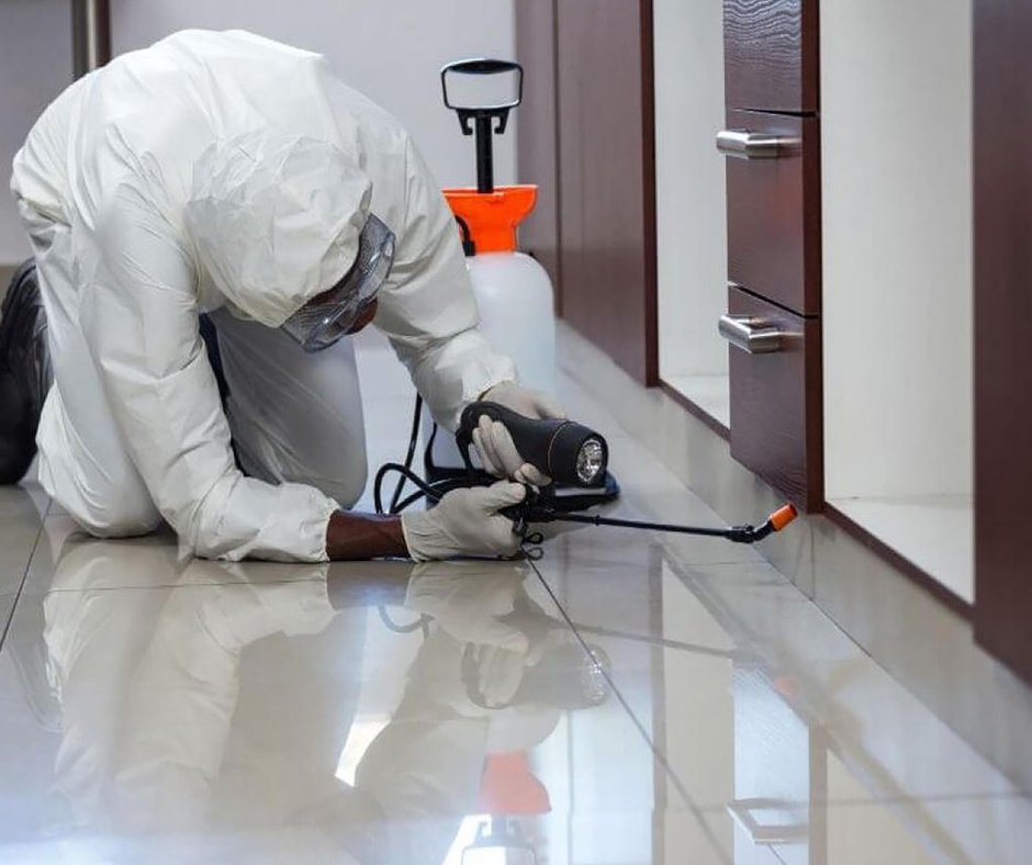 Kakerlakenbekämpfung