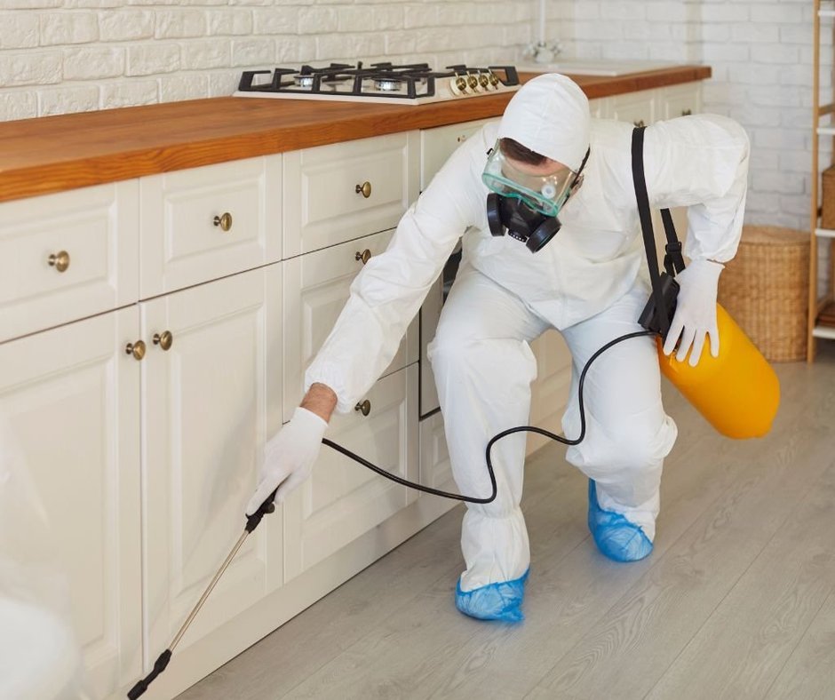 Bettwanzenbekämpfung